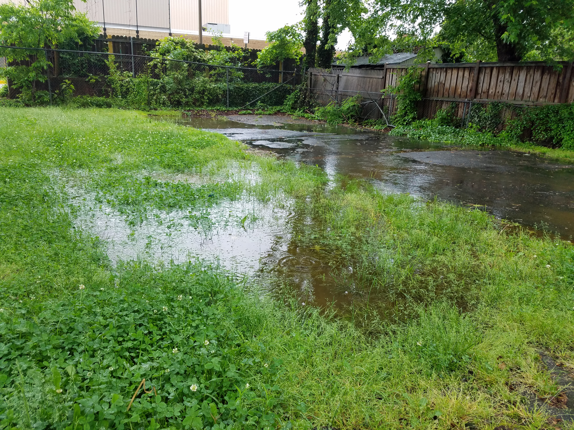 terrain inondé